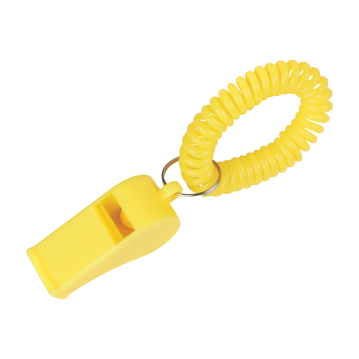 hit Whistle With Coil