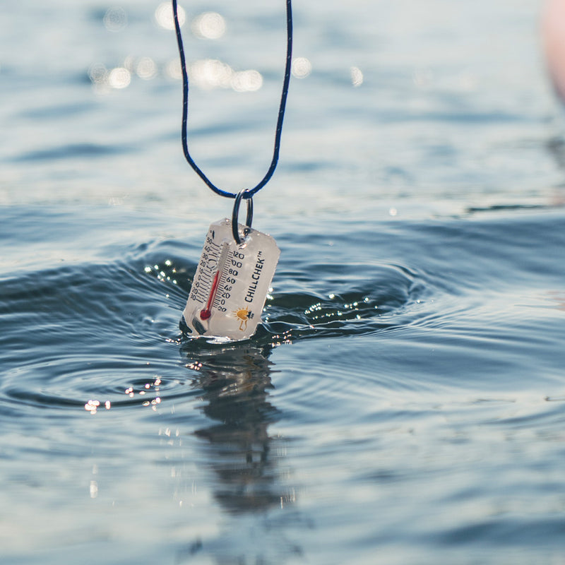 sun company ChillChek Waterproof Thermometer