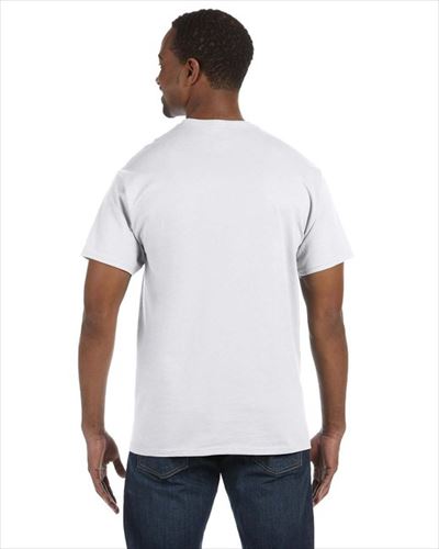 hanes Mens Authentic-T T-Shirt