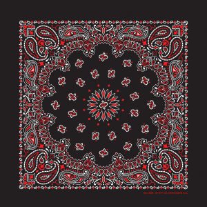 hav a hank TRADITIONAL PAISLEYS Made In The USA