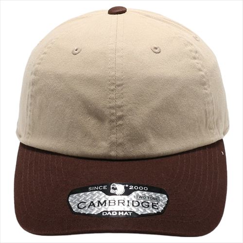 pitbull Two-Tone Cotton Dad Hat