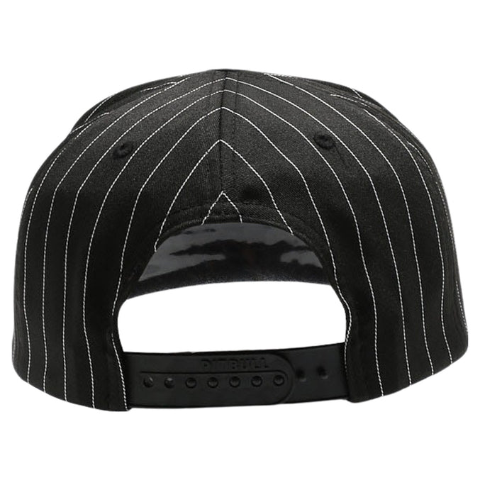 pitbull 5-Panel Pinstripe Snapback Hat